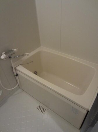 パークレジデンス市川の物件内観写真